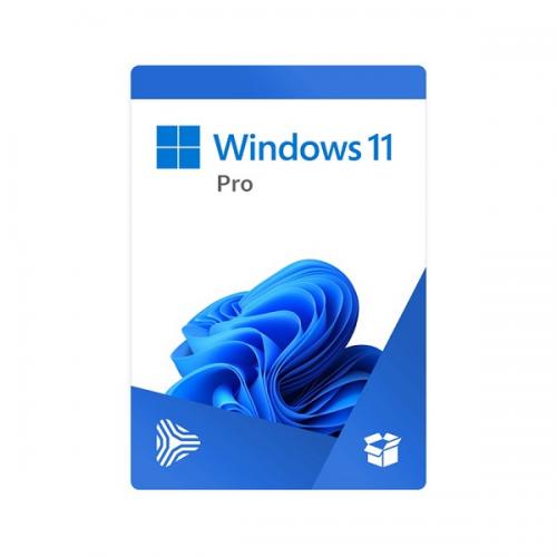 Phần mềm Windows 11 Pro 64Bit Eng Intl 1pk DSP OEI DVD - CÓ ĐĨA DVD