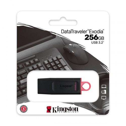USB Kingston DataTraveler Exodia DTX 256GB